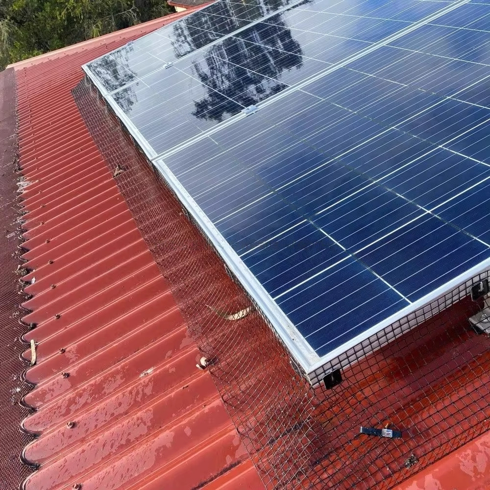 Solar panel bird proofing installation by Nearby Pest Control in Suffolk
